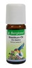 Bild von Basilikum-Öl, 10 ml, Bergland